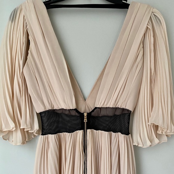 Blush Pleated Gown - Picture 3 of 5